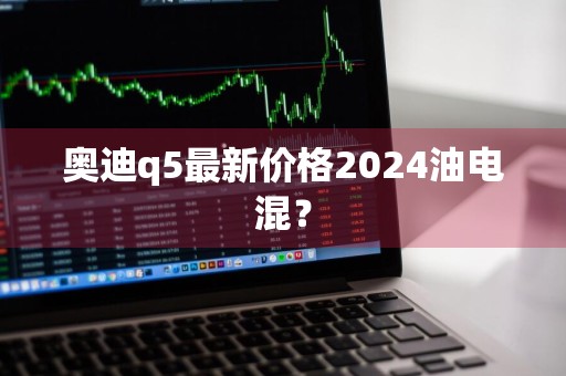 奥迪q5最新价格2024油电混？