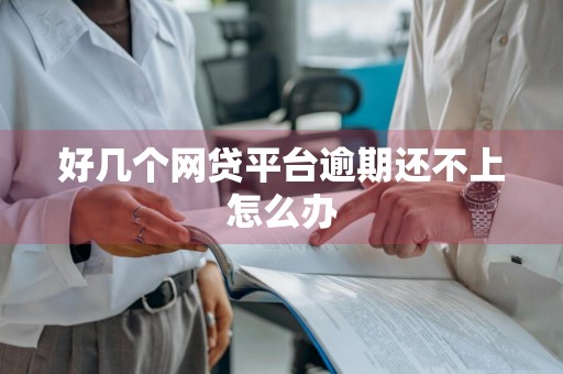 好几个网贷平台逾期还不上怎么办