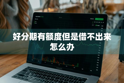 好分期有额度但是借不出来怎么办