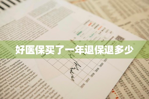 好医保买了一年退保退多少