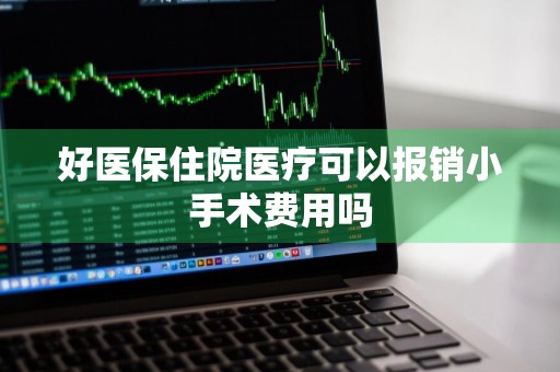 好医保住院医疗可以报销小手术费用吗