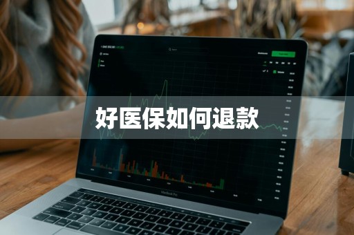 好医保如何退款