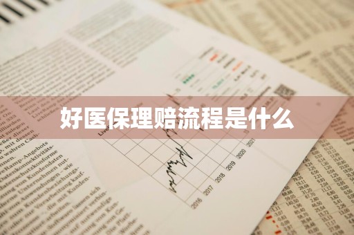 好医保理赔流程是什么