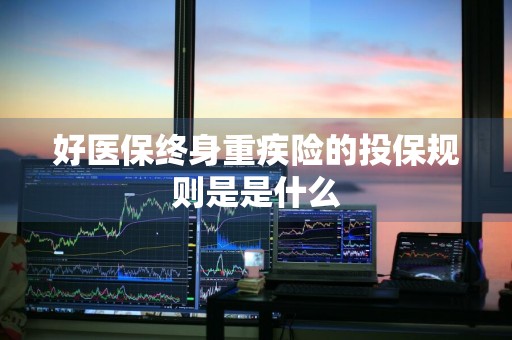 好医保终身重疾险的投保规则是是什么