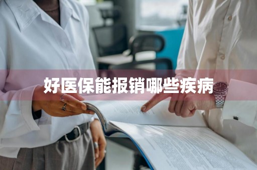 好医保能报销哪些疾病