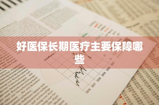好医保长期医疗主要保障哪些