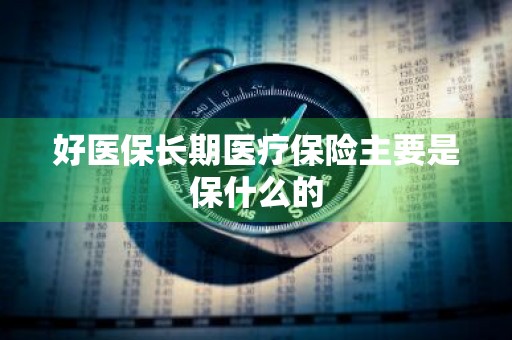 好医保长期医疗保险主要是保什么的