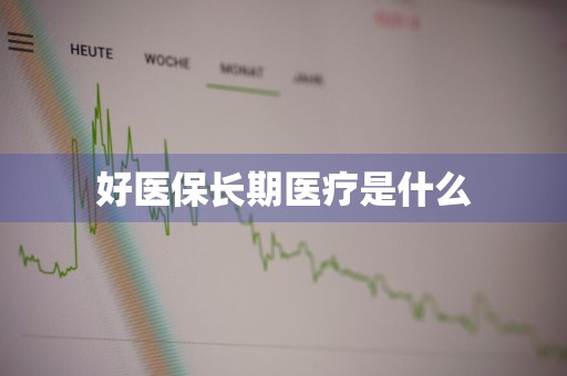 好医保长期医疗是什么