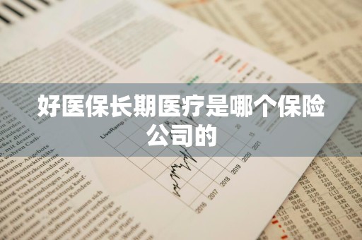 好医保长期医疗是哪个保险公司的
