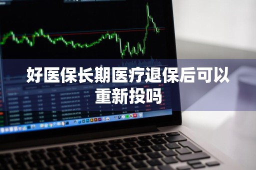 好医保长期医疗退保后可以重新投吗