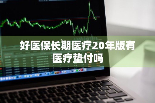 好医保长期医疗20年版有医疗垫付吗