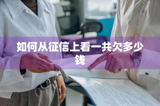 如何从征信上看一共欠多少钱