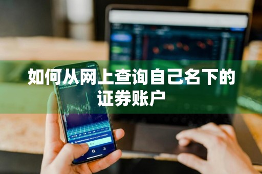如何从网上查询自己名下的证券账户