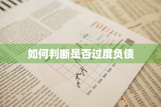 如何判断是否过度负债
