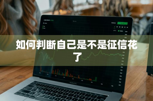 如何判断自己是不是征信花了