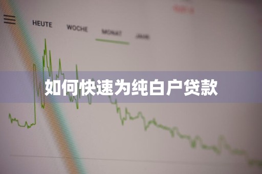 如何快速为纯白户贷款