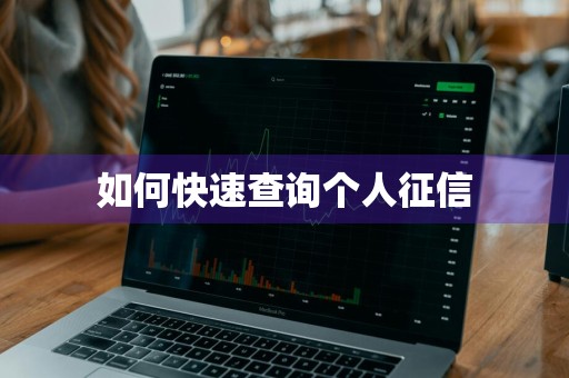 如何快速查询个人征信