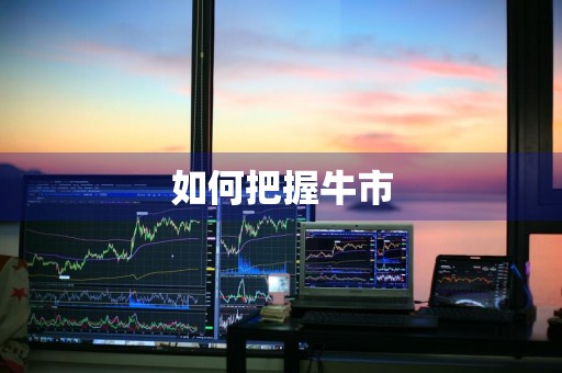 如何把握牛市