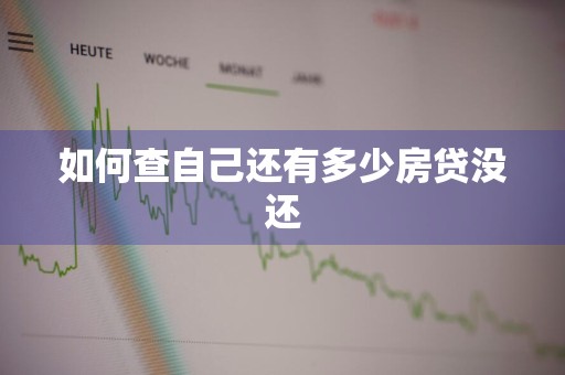 如何查自己还有多少房贷没还