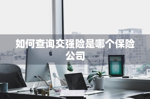 如何查询交强险是哪个保险公司