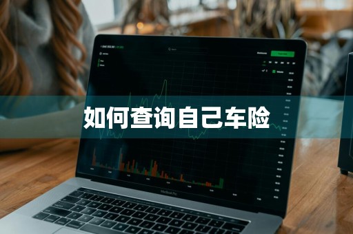 如何查询自己车险