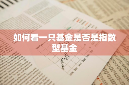 如何看一只基金是否是指数型基金
