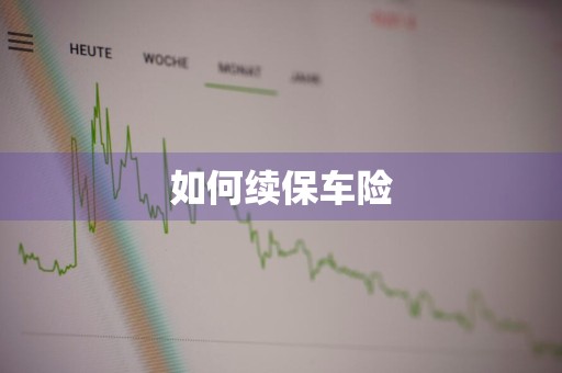 如何续保车险