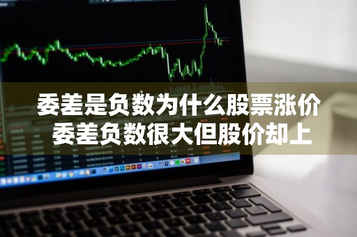 委差是负数为什么股票涨价 委差负数很大但股价却上涨为什么