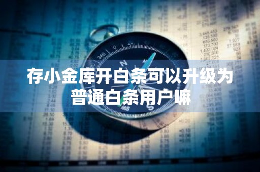 存小金库开白条可以升级为普通白条用户嘛