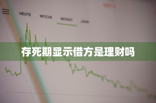 存死期显示借方是理财吗