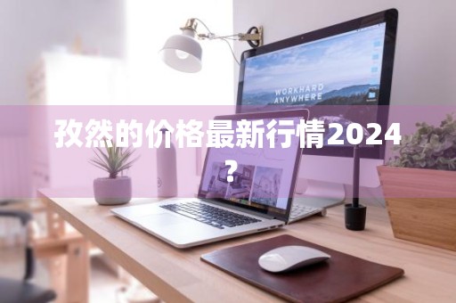 孜然的价格最新行情2024?