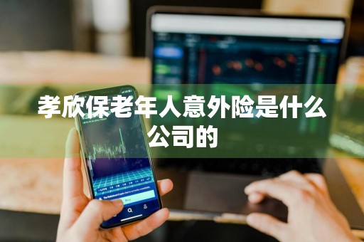 孝欣保老年人意外险是什么公司的