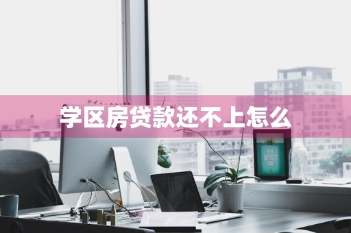 学区房贷款还不上怎么