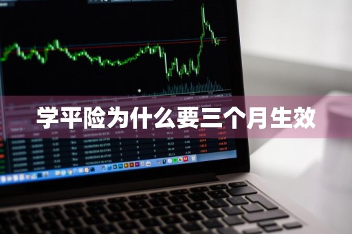 学平险为什么要三个月生效