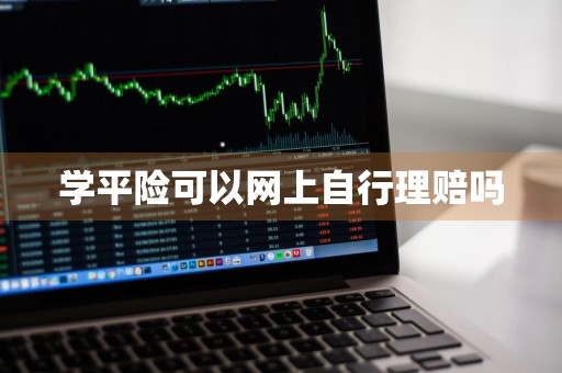学平险可以网上自行理赔吗