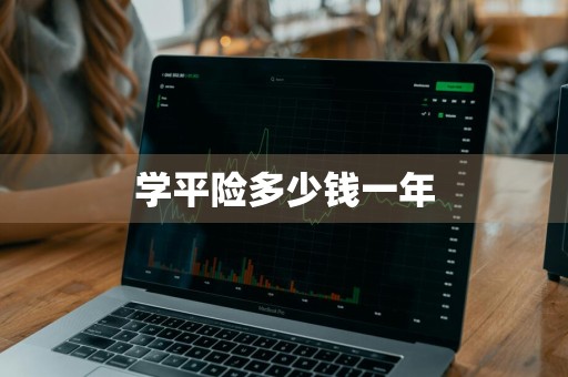 学平险多少钱一年