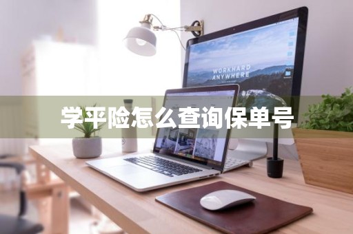 学平险怎么查询保单号