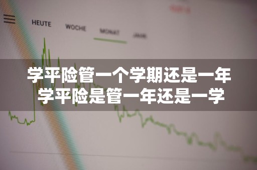 学平险管一个学期还是一年 学平险是管一年还是一学期