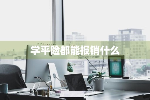 学平险都能报销什么