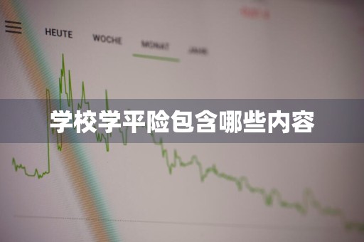 学校学平险包含哪些内容