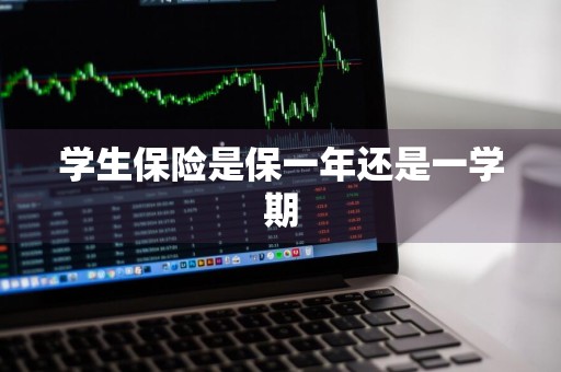 学生保险是保一年还是一学期