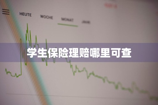 学生保险理赔哪里可查