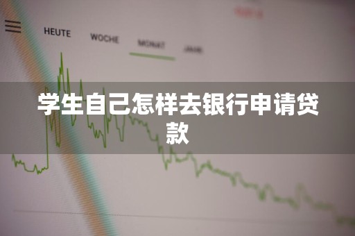 学生自己怎样去银行申请贷款