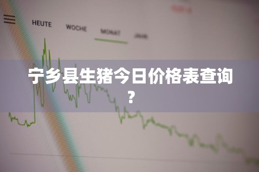 宁乡县生猪今日价格表查询？