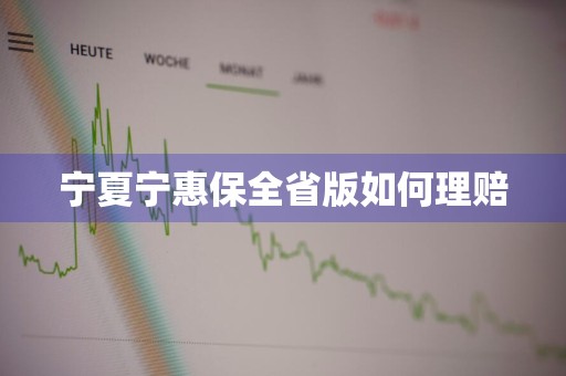 宁夏宁惠保全省版如何理赔