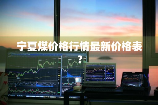 宁夏煤价格行情最新价格表？