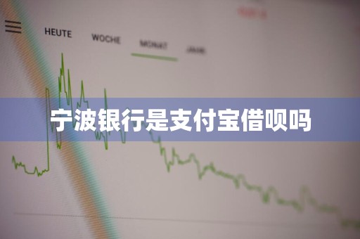 宁波银行是支付宝借呗吗