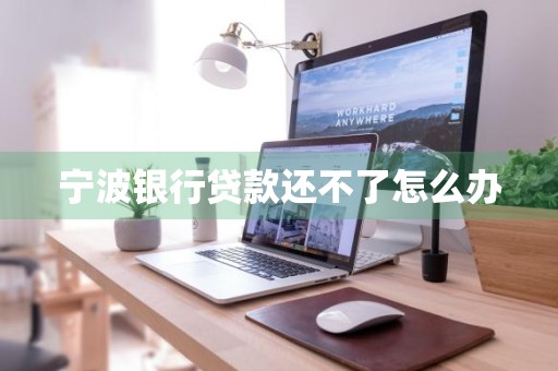 宁波银行贷款还不了怎么办