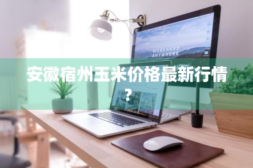 安徽宿州玉米价格最新行情？