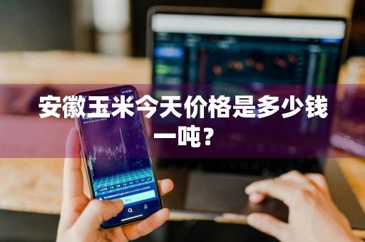 安徽玉米今天价格是多少钱一吨？